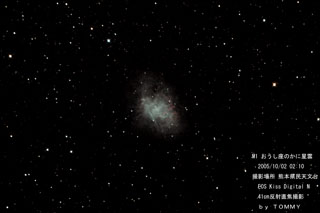 �`�������`�@�l�P�@���ɐ��_�@�ȊO�ƌ���ł��@�`�������`