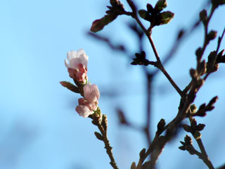 ����A�������炢�Ă�̂���������ł����E�E�E