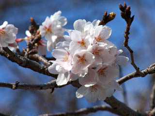 ���\�炢�Ă��܂���