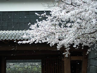 �����Ȃ�̍�����ł����@������H