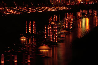 �`�@�؈��̒��ł��E�E�E�B�`�@