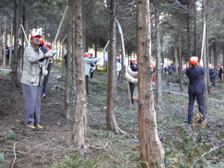 �`�@�}�ł��̐^���Œ��ł��I�I�@�`