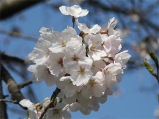 ���A�Y��H