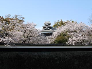 ���������ł��`�B