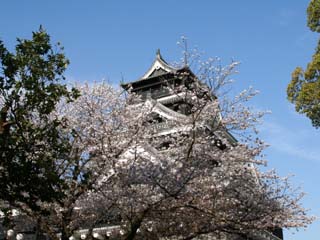 �S���X���B�e�@���܂������������Ȃ�