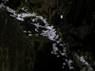 �F�{��s�J�剡�̐Ί_�ɂ�