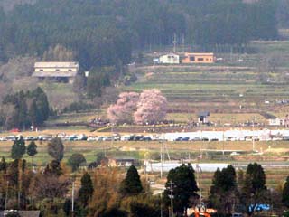 ��S�s�̑���`