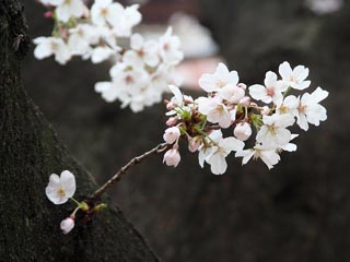 ���[��[�́A�D���E�E�E