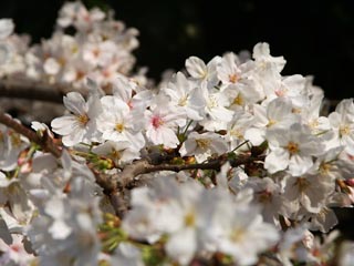 ���@���J�H