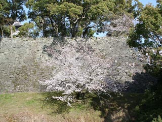 ���̍��A��N���B��܂���