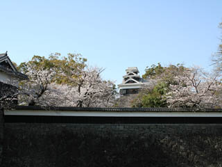 ���������̍��A�܂��ܕ��炫���甪���炫�ł���