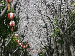 ������̃g���l���@�������J�ł�