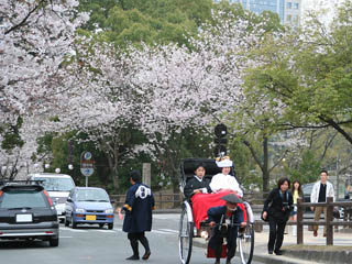 �������ł����I�I�@�����Ȃ��c