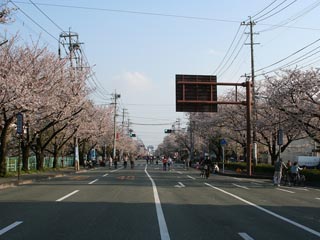 �N�Ɉ�x�̕��s�ғV��