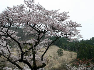 �����琁��I�I