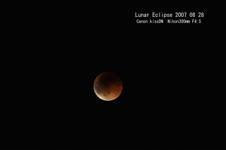 �`�@�F���H�̏I���@���ꂩ��i�X���̔��������o�Ă��܂��@�@�`