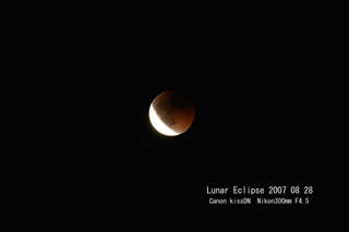 �`�@�i�X�ƁA������������ė��܂����@�`