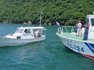 �u�Ђ������v�̃L�����o���̗l�q