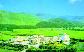 ���h���_�R��