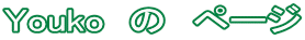 Youko  ́@y[W